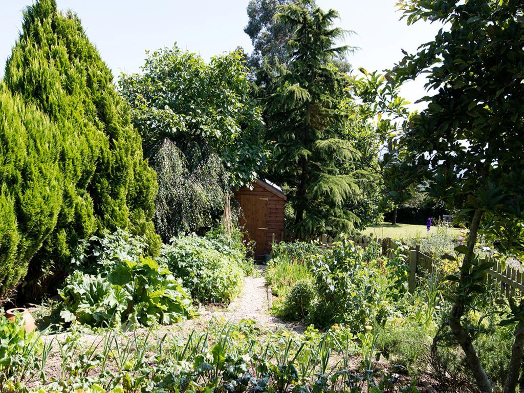 The Graig Bed & Breakfast Ludlow Farden Kültér fotó
